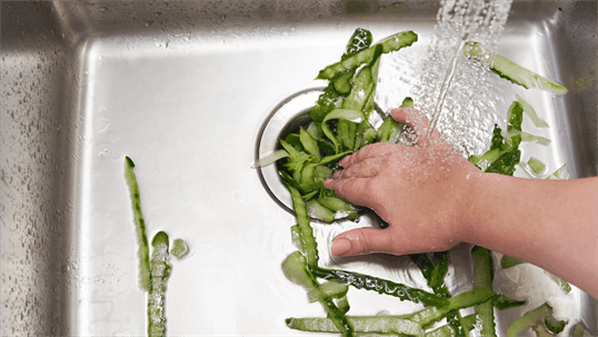 What Not to Put Down Your Garbage Disposal
